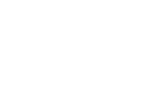 PRIMATE - MATERIAIS DE CONSTRUÇÃO